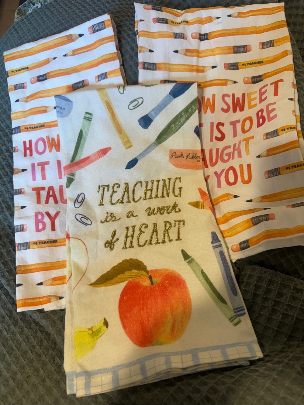 Brand new with tags Anthropologie teacher dish towels/bag